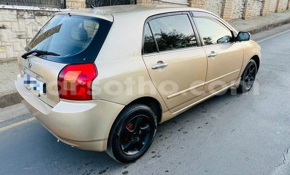 Buy Used Toyota Runx Other Car in Butha–Buthe in Thaba-Tseka Buy Used Toyota Runx Other Car in Butha–Buthe in Thaba-Tseka