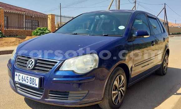اشتري مستعمل Volkswagen Polo Blue سيارة في Maputsoe في Leribe اشتري مستعمل Volkswagen Polo Blue سيارة في Maputsoe في Leribe