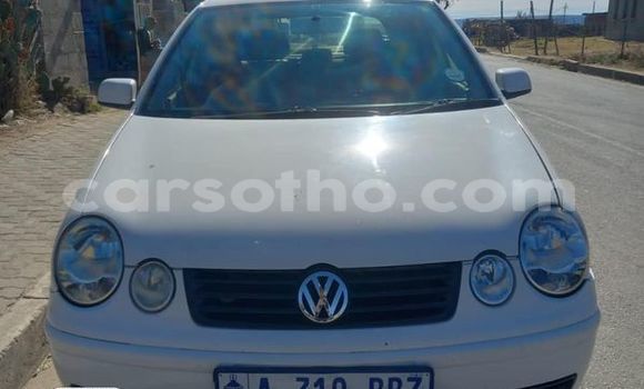 اشتري مستعمل Volkswagen Polo White سيارة في Maputsoe في Leribe