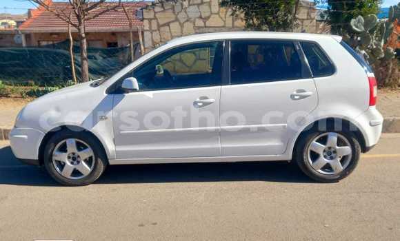 اشتري مستعمل Volkswagen Polo White سيارة في Maputsoe في Leribe اشتري مستعمل Volkswagen Polo White سيارة في Maputsoe في Leribe