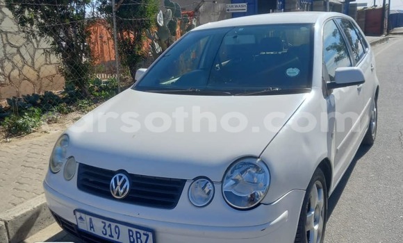 اشتري مستعمل Volkswagen Polo White سيارة في Maputsoe في Leribe اشتري مستعمل Volkswagen Polo White سيارة في Maputsoe في Leribe