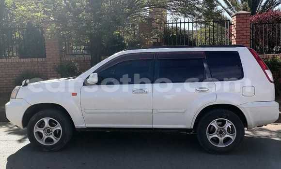 Buy Used Nissan X–Trail White Car in Butha–Buthe in Thaba-Tseka Buy Used Nissan X–Trail White Car in Butha–Buthe in Thaba-Tseka