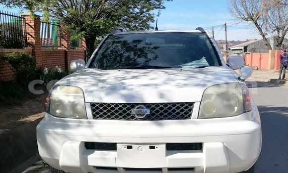 Buy Used Nissan X–Trail White Car in Butha–Buthe in Thaba-Tseka Buy Used Nissan X–Trail White Car in Butha–Buthe in Thaba-Tseka