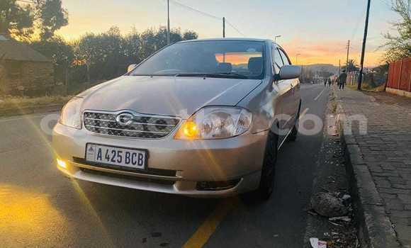 Acheter Occasion Voiture Toyota Corolla Autre à Maputsoa, Leribe