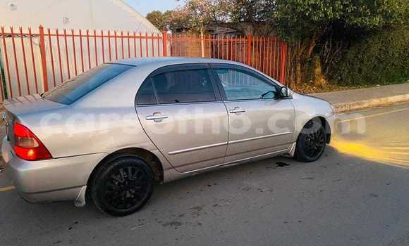 Sayi Na hannu Toyota Corolla Other Mota in Maputsoa a Leribe Sayi Na hannu Toyota Corolla Other Mota in Maputsoa a Leribe