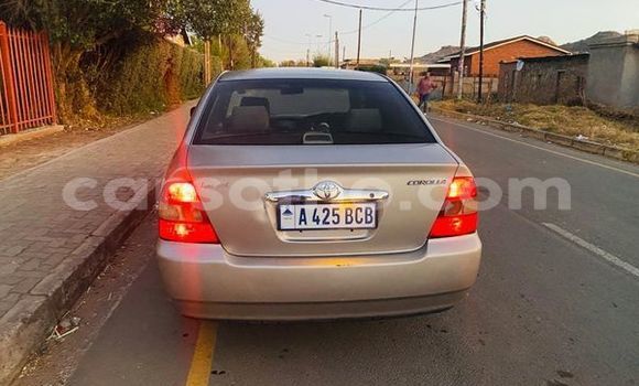 Sayi Na hannu Toyota Corolla Other Mota in Maputsoa a Leribe Sayi Na hannu Toyota Corolla Other Mota in Maputsoa a Leribe