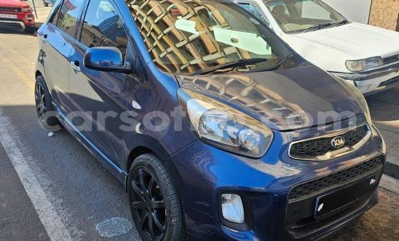 Acheter Occasion Voiture Kia Picanto Bleu à Maseru, Maseru