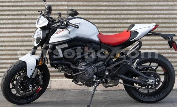 اشتري مستعمل Ducati Monster White دراجة نارية في Maseru في Maseru اشتري مستعمل Ducati Monster White دراجة نارية في Maseru في Maseru