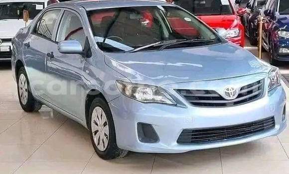Buy Used Toyota Corolla Blue Car in Maseru in Maseru Buy Used Toyota Corolla Blue Car in Maseru in Maseru