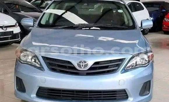 اشتري مستعمل Toyota Corolla Blue سيارة في Maseru في Maseru اشتري مستعمل Toyota Corolla Blue سيارة في Maseru في Maseru