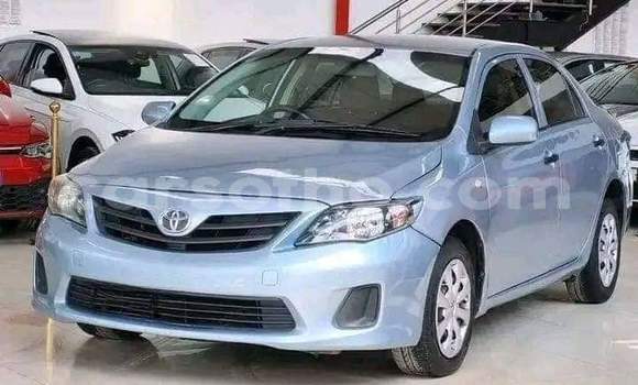 اشتري مستعمل Toyota Corolla Blue سيارة في Maseru في Maseru اشتري مستعمل Toyota Corolla Blue سيارة في Maseru في Maseru