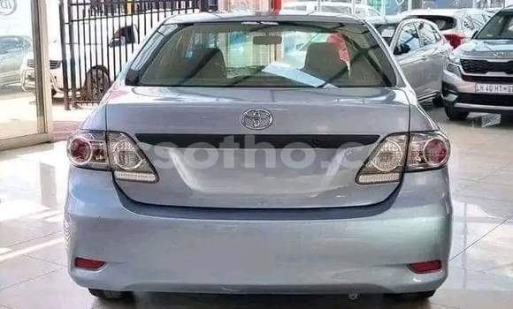 اشتري مستعمل Toyota Corolla Blue سيارة في Maseru في Maseru اشتري مستعمل Toyota Corolla Blue سيارة في Maseru في Maseru