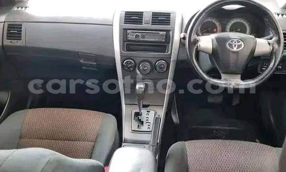 اشتري مستعمل Toyota Corolla Blue سيارة في Maseru في Maseru اشتري مستعمل Toyota Corolla Blue سيارة في Maseru في Maseru