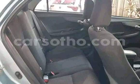 اشتري مستعمل Toyota Corolla Blue سيارة في Maseru في Maseru اشتري مستعمل Toyota Corolla Blue سيارة في Maseru في Maseru