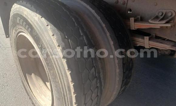 اشتري مستعمل Isuzu FTR 850 White شاحنة في Maseru في Maseru اشتري مستعمل Isuzu FTR 850 White شاحنة في Maseru في Maseru