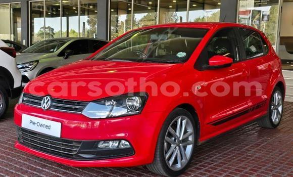 Acheter Occasion Voiture Volkswagen Polo Rouge à Maseru, Maseru Acheter Occasion Voiture Volkswagen Polo Rouge à Maseru, Maseru