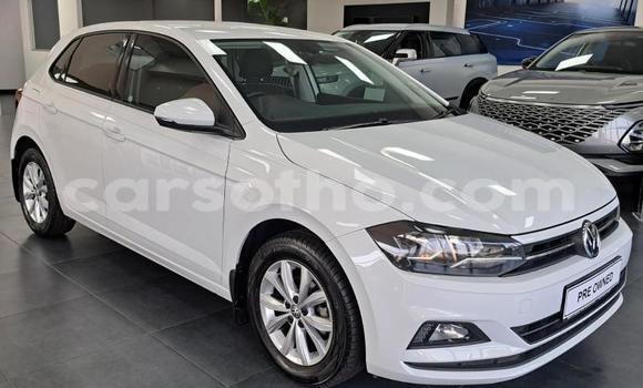 Buy Used Volkswagen Polo White Car in Maseru in Maseru