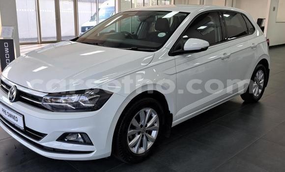 Buy Used Volkswagen Polo White Car in Maseru in Maseru Buy Used Volkswagen Polo White Car in Maseru in Maseru