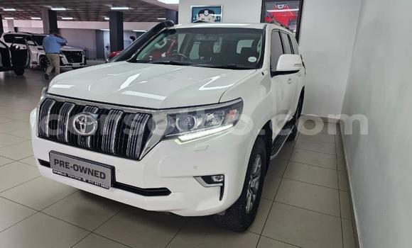 اشتري مستعمل Toyota Land Cruiser Prado White سيارة في Maseru في Maseru