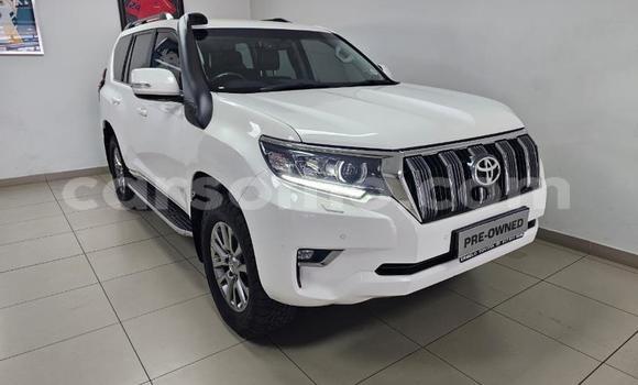 Sayi Na hannu Toyota Land Cruiser Prado White Mota in Maseru a Maseru Sayi Na hannu Toyota Land Cruiser Prado White Mota in Maseru a Maseru
