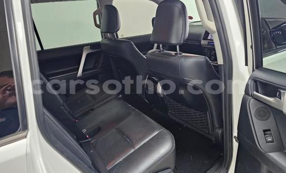 Sayi Na hannu Toyota Land Cruiser Prado White Mota in Maseru a Maseru Sayi Na hannu Toyota Land Cruiser Prado White Mota in Maseru a Maseru