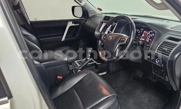 Sayi Na hannu Toyota Land Cruiser Prado White Mota in Maseru a Maseru Sayi Na hannu Toyota Land Cruiser Prado White Mota in Maseru a Maseru