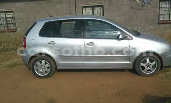 Buy Used Volkswagen Polo Silver Car in Maseru in Maseru Buy Used Volkswagen Polo Silver Car in Maseru in Maseru
