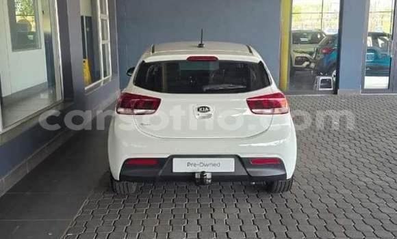 Buy Used Kia Rio White Car in Maseru in Maseru Buy Used Kia Rio White Car in Maseru in Maseru