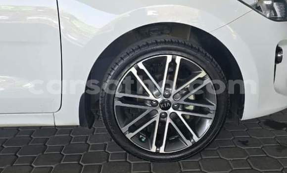 Buy Used Kia Rio White Car in Maseru in Maseru Buy Used Kia Rio White Car in Maseru in Maseru