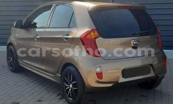 اشتري مستعمل Kia Picanto Brown سيارة في Maseru في Maseru اشتري مستعمل Kia Picanto Brown سيارة في Maseru في Maseru