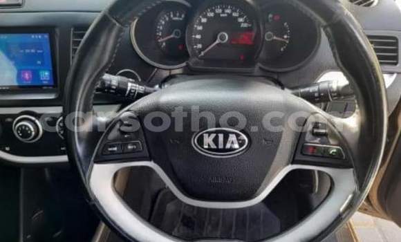 اشتري مستعمل Kia Picanto Brown سيارة في Maseru في Maseru اشتري مستعمل Kia Picanto Brown سيارة في Maseru في Maseru