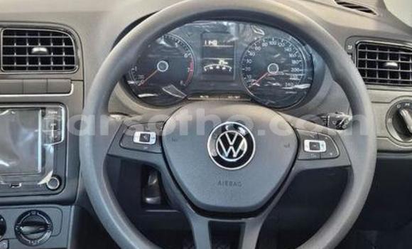 Buy Used Volkswagen Polo Blue Car in Maseru in Maseru Buy Used Volkswagen Polo Blue Car in Maseru in Maseru
