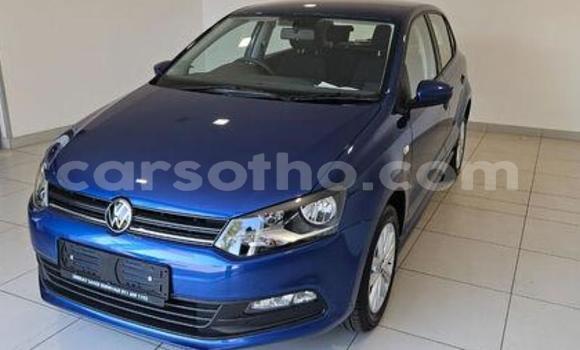Buy Used Volkswagen Polo Blue Car in Maseru in Maseru Buy Used Volkswagen Polo Blue Car in Maseru in Maseru