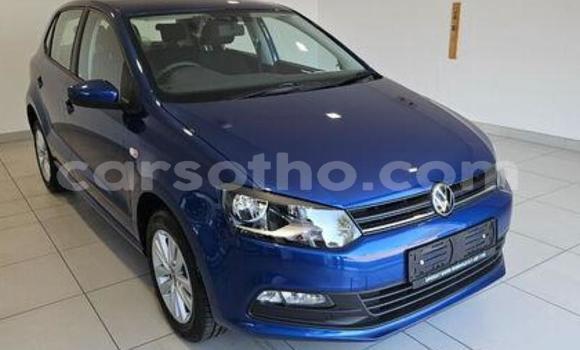 Buy Used Volkswagen Polo Blue Car in Maseru in Maseru Buy Used Volkswagen Polo Blue Car in Maseru in Maseru