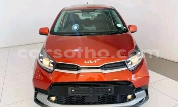 اشتري مستعمل Kia Picanto Other سيارة في Maseru في Maseru اشتري مستعمل Kia Picanto Other سيارة في Maseru في Maseru