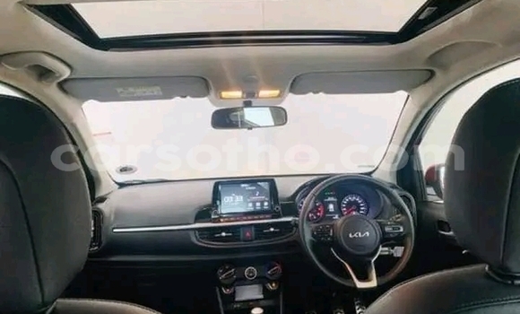 اشتري مستعمل Kia Picanto Other سيارة في Maseru في Maseru اشتري مستعمل Kia Picanto Other سيارة في Maseru في Maseru