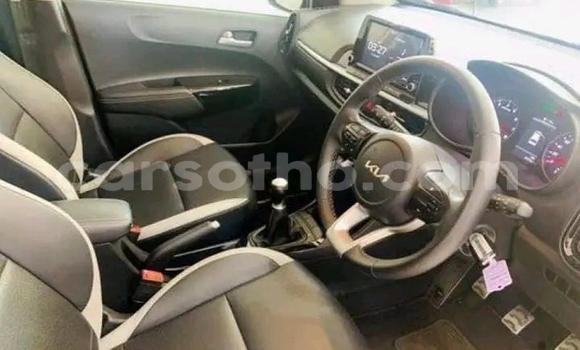 اشتري مستعمل Kia Picanto Other سيارة في Maseru في Maseru اشتري مستعمل Kia Picanto Other سيارة في Maseru في Maseru