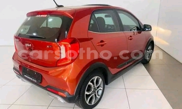اشتري مستعمل Kia Picanto Other سيارة في Maseru في Maseru اشتري مستعمل Kia Picanto Other سيارة في Maseru في Maseru