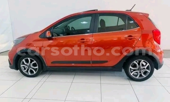 اشتري مستعمل Kia Picanto Other سيارة في Maseru في Maseru اشتري مستعمل Kia Picanto Other سيارة في Maseru في Maseru