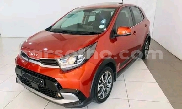 اشتري مستعمل Kia Picanto Other سيارة في Maseru في Maseru اشتري مستعمل Kia Picanto Other سيارة في Maseru في Maseru