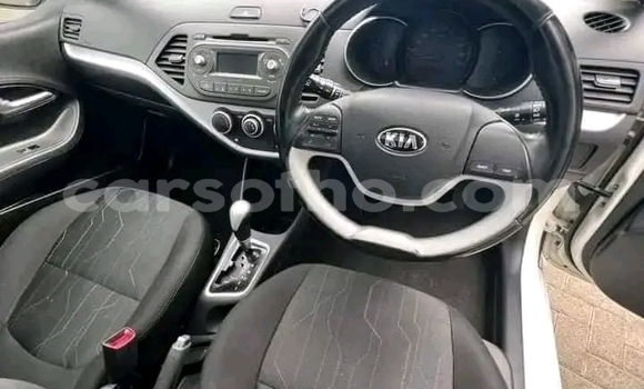 اشتري مستعمل Kia Picanto White سيارة في Maseru في Maseru اشتري مستعمل Kia Picanto White سيارة في Maseru في Maseru