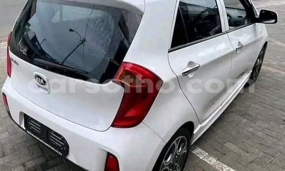 اشتري مستعمل Kia Picanto White سيارة في Maseru في Maseru اشتري مستعمل Kia Picanto White سيارة في Maseru في Maseru