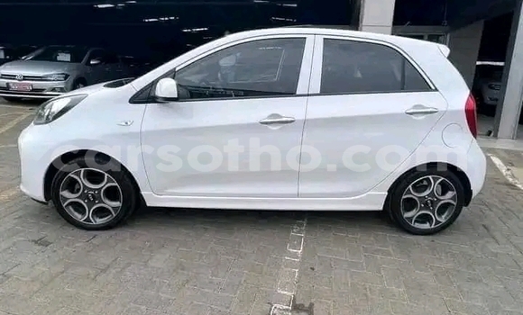 اشتري مستعمل Kia Picanto White سيارة في Maseru في Maseru اشتري مستعمل Kia Picanto White سيارة في Maseru في Maseru
