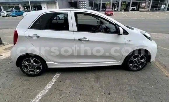 اشتري مستعمل Kia Picanto White سيارة في Maseru في Maseru اشتري مستعمل Kia Picanto White سيارة في Maseru في Maseru