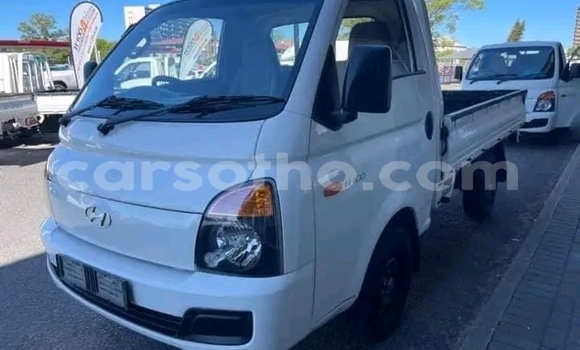 اشتري مستعمل Hyundai H1 White سيارة في Maseru في Maseru اشتري مستعمل Hyundai H1 White سيارة في Maseru في Maseru