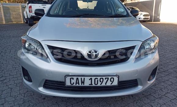 Sayi Na hannu Toyota Corolla Silver Mota in Maseru a Maseru Sayi Na hannu Toyota Corolla Silver Mota in Maseru a Maseru