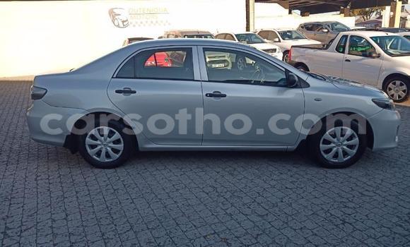 Sayi Na hannu Toyota Corolla Silver Mota in Maseru a Maseru Sayi Na hannu Toyota Corolla Silver Mota in Maseru a Maseru