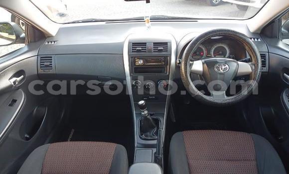 Sayi Na hannu Toyota Corolla Silver Mota in Maseru a Maseru Sayi Na hannu Toyota Corolla Silver Mota in Maseru a Maseru