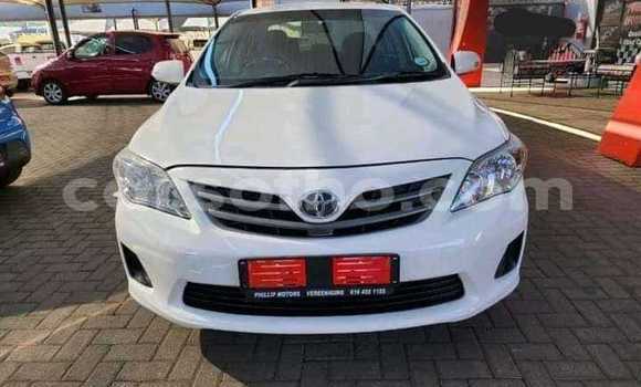 اشتري مستعمل Toyota Corolla White سيارة في Maseru في Maseru