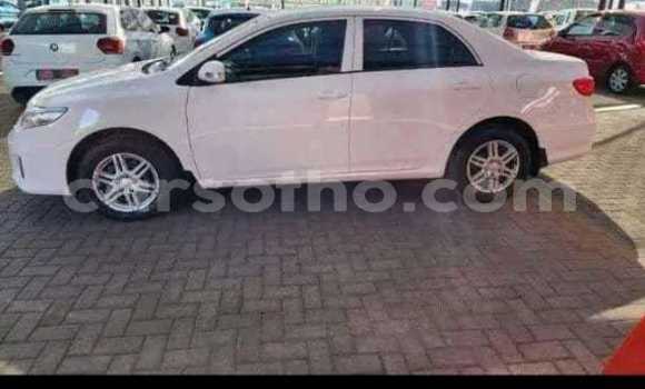 Buy Used Toyota Corolla White Car in Maseru in Maseru Buy Used Toyota Corolla White Car in Maseru in Maseru